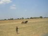 malawi-2006-184